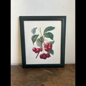 Vintage Cherry Botanical Print in Dark Green Frame | Cottagecore Prairiecore